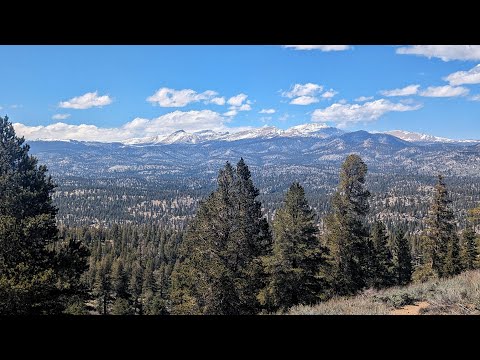 Pacific Crest Trail Thru Hike Episode 20 - Into the Sierra