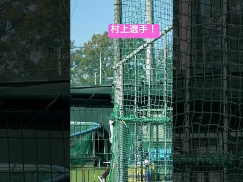 村上宗隆選手だ！ヤクルトスワローズ秋季練習最終日