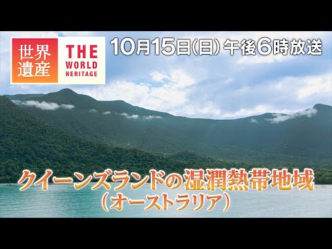 【TBS世界遺産】恐竜時代から続く！世界最古の森～クイーンズランドの湿潤熱帯地域（オーストラリア）【10月15日午後6時放送】