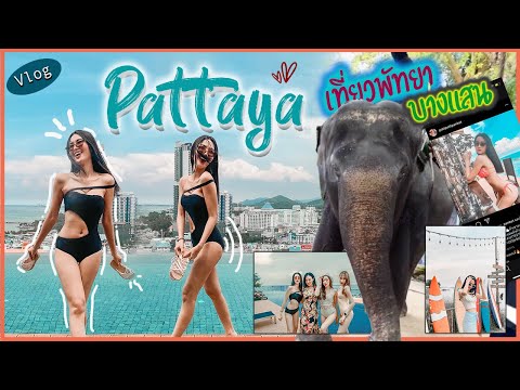 [Vlog ]  เที่ยวพัทยา บางแสน  ครั้งแรก ไปสวนสัตว์ คาเฟ่ สุดฟิน- Trip Pattaya - 3 วัน 2 คืน