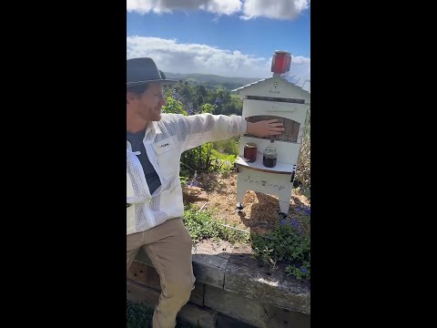 How to keep ants out of your Flow Hive