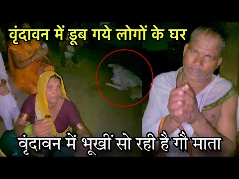 Vrindavan flood | वृंदावन में ब्रजवासी सो रहे है भूखे यमुना मैया का दिखा रौद्र रूप | suraj brijwasi