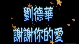 劉德華 謝謝你的愛 （中文字幕）高音質 （國語歌曲）氛圍版