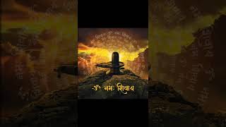 Om Namah Shivaay 🙏🌹🌹Subh somvar #shivshankarji #shivshankar #shivji #somwar #viralvideo #viralshorts