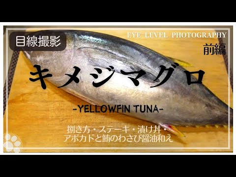 【前編】キメジマグロのステーキとアボカドと鮪のわさび醬油和え、漬け丼の作り方。