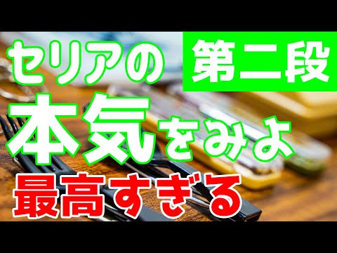 【 100均 】セリアのキャンプギアがとんでもないことに