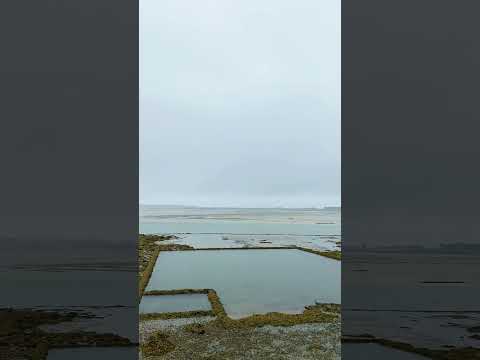 Relaxing Rainstorm at Low Tide ASMR (No Talking)