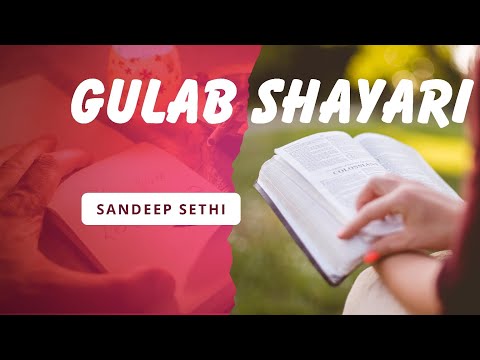 Gulab Shayari | Romantic Shayari Collection in Hindi #shayaris