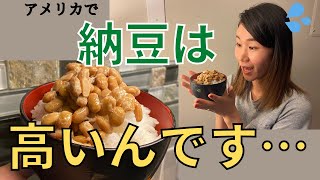 【意外に簡単】悲願の納豆　｜アメリカ生活｜手作り｜圧力鍋なし｜炊飯器なし｜