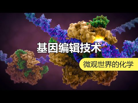 如何先天免疫艾滋病：诺贝尔化学奖告诉你答案 | 化学有故事2