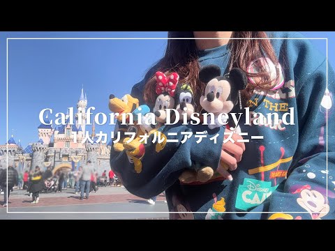 地球上で1番幸せな場所🏰🪄1人カリフォルニアディズニーランド🐭🇺🇸【Disney Vlog】