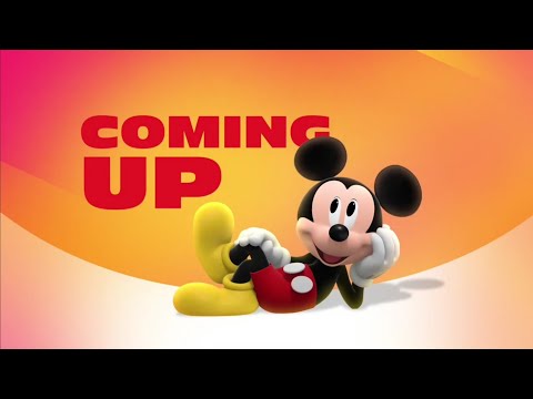 Disney Jr. US - Morning Continuity (November 19, 2024)