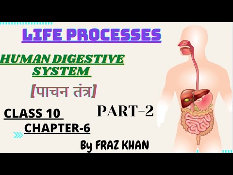 Human Digestive System | Small Intestine | CBSE Class10  Chpater-6 | By Fraz Khan @khanstudypoint