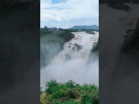 Shiva Samudra Twin Waterfalls 🏞️ #Kaveri #River