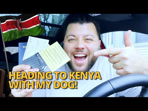 🇰🇪 KENYA HERE I COME!!