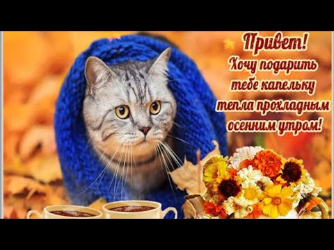 С Добрым утром в сентябре!Солнечного настроения!Позитивная музыкальная открытка!