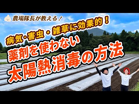 有機栽培のプロが教える！絶対やるべき土づくり【土壌消毒・土壌改良・太陽熱・病害虫・雑草対策】