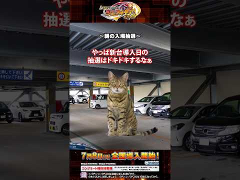 【新台遊技】#Lパチスロ戦姫絶唱シンフォギア正義の歌 #猫ミーム #パチスロ #SANKYO #shorts