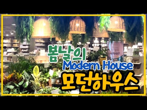 [ModernHouse] 구경만해도 신나는 모던하우스 주방 그릇 🌱Spring in the Modern House