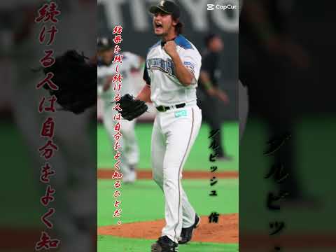 最強の二人 #おすすめ #大谷翔平 #ダルビッシュ有 #メジャーリーガー #最強