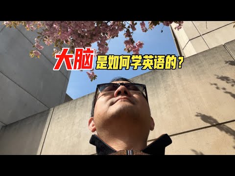 不想背单词，真题也刷腻了？那就换种方式学英语吧，愉快又上瘾，关键是三个月就能见效！