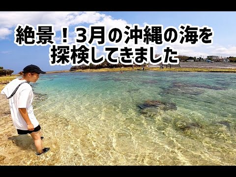 【絶景！沖縄3月の海へ！】沖縄のひな祭り浜下りとは！？みーきーとゆうが体験してきました！