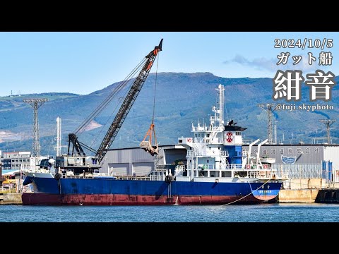 ガット船『紺音』荷役作業【1:20秒】2024/10/5