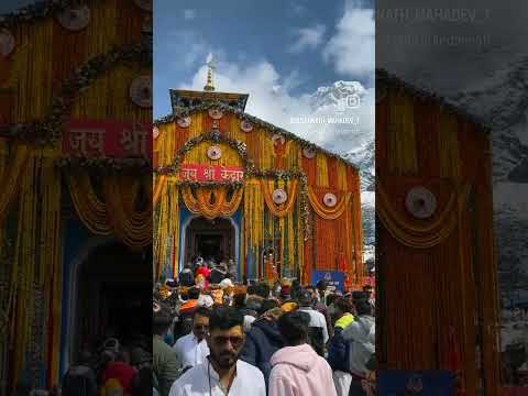 #shortsfeed#kedarnathtemple #kedarnathdham#mahadev #uttarakhand #shiva #harharmahadev#short #shorts