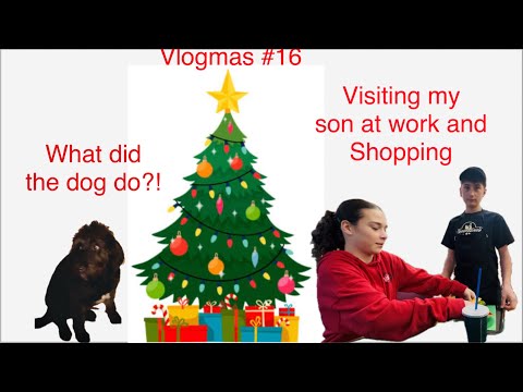 Vlogmas #16: A Bad Dog, Shopping, & Snow ❄️