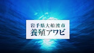 三陸フュージョン料理ツアー～岩手県大船渡市 養殖アワビ～