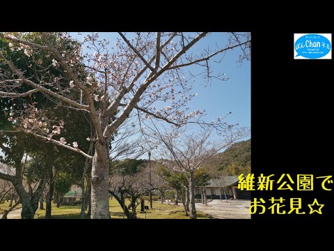 維新公園でお花見☆