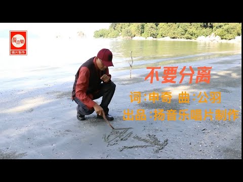 不要分离 - 杨庆 Vol 12 选曲