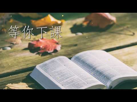 VOX玩聲樂團〚等你下課〛歌詞版MV feat. 盧苑呈