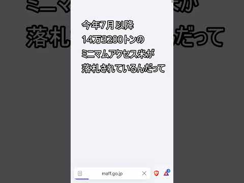 関税ゼロ円、得体の知れないMA米が、どんどん入ってくる #米騒動 #米禁止  #米　#令和の米騒動 #お金