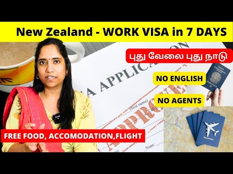 புது வேலை புது நாடு, New Zealand Recovery Visa | No English, IELTS | NO agent 👌 visa in 7 days