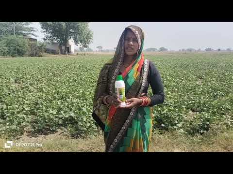 105 Gudiya from Mathura | Uttar Pradesh | Nano Urea Testimonial