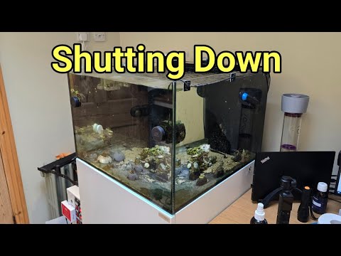 Shutting Down A Saltwater Aquarium |The Prestige Reef Dork Show Ep 55