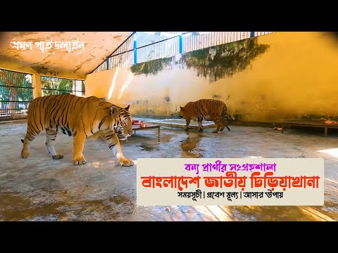 ঢাকার আশে পাশে সেরা দর্শনীয় স্থান - ৬ | Bangladesh National Zoo Museum