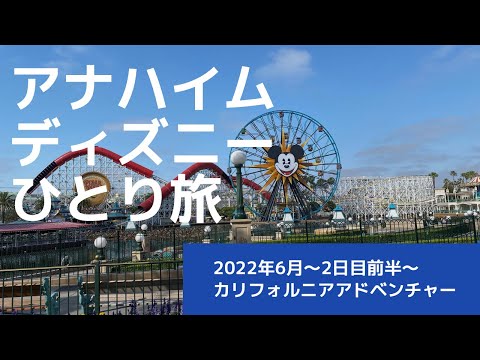 【VLOG】2022年6月アナハイムディズニーひとり旅②〜2日目前半〜