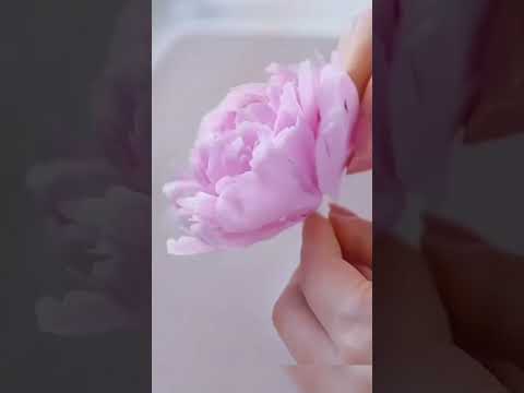 Handmade clay peony flowers