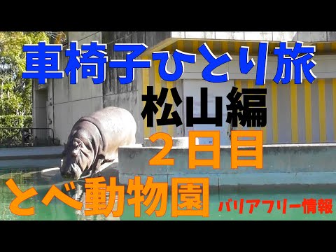 【番外編】車椅子ひとり旅　松山（＆砥部町）編　２日目　とべ動物園