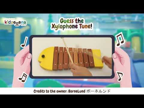 Guess the Xylophone Tune