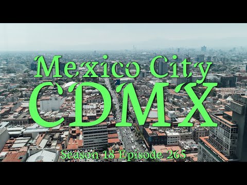 Exploring CDMX: Flower Market, Tacos at Orinoco, and the Zoo!