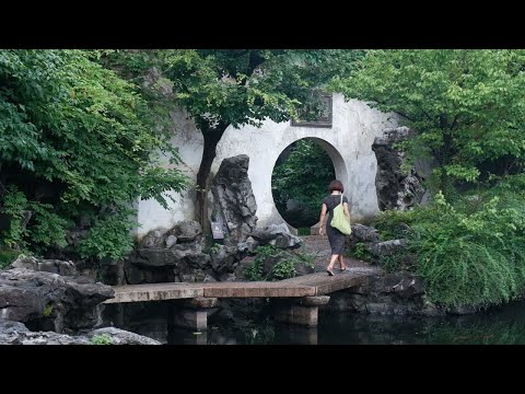 妙！风雨天，赏风月｜苏州园林艺圃漫步Vlog