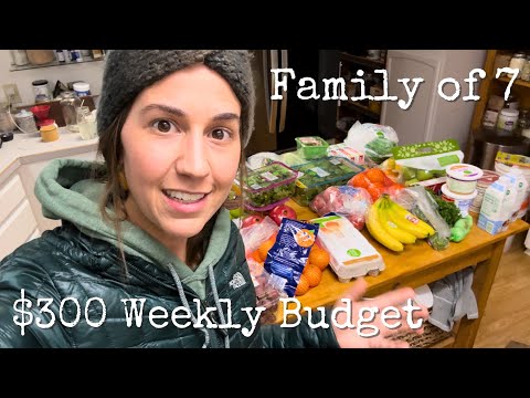 Snowy Thanksgiving Grocery Hauls: Turkey Edition!