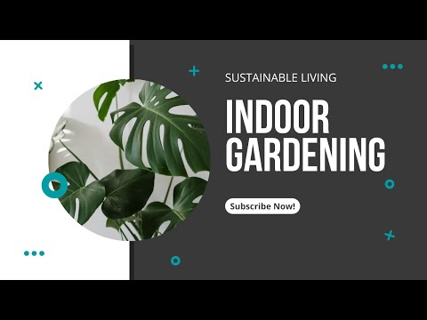 Indoor plants and gardening