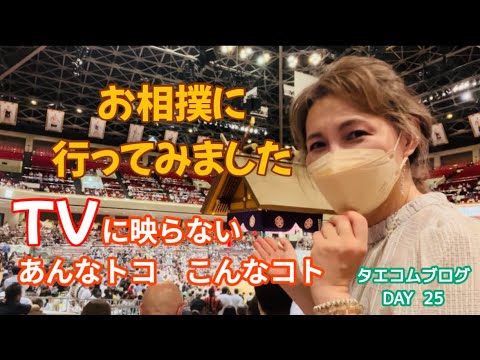 【初めてのお相撲観戦】TVじゃ映らないあんなトコこんなコト／ヒーリングチャイム✨コシチャイムの音色に癒される／50代主婦ブログ