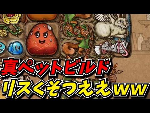 アプデを重ねたレンジャーのペットビルド面白すぎたｗｗ【BPB攻略最前線TV】