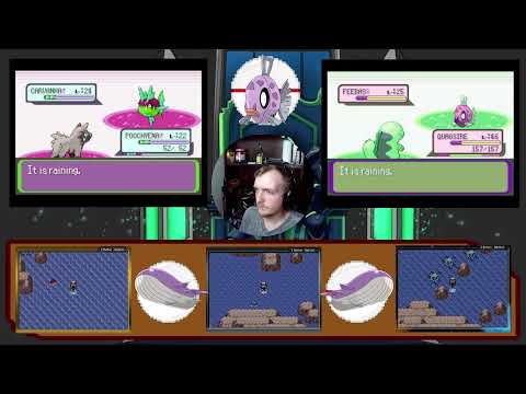 Live! - Feebas & Wailord Hunting!