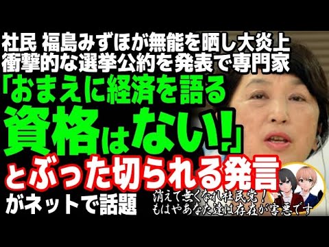 社民党の福島みずほが、選挙公約で大炎上w「消費税3年間ゼロ！」主張、その衝撃的な財源とは・・経済学者も呆れ顔